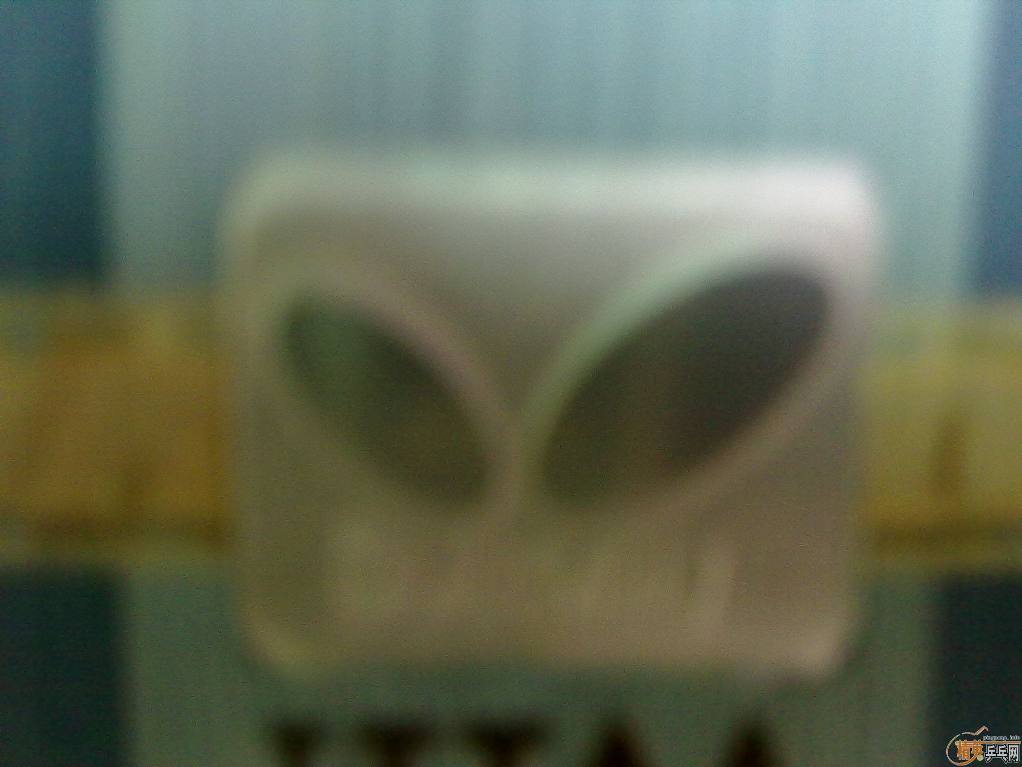 ������BOLL ALC+���µ�sriver