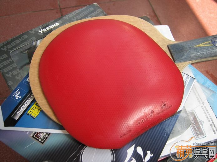 260������հ�YE�������׽���������Żݶࣩ