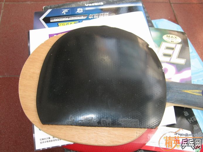 260������հ�YE�������׽���������Żݶࣩ