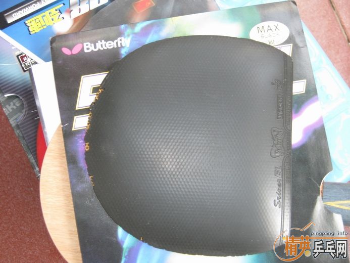 260������հ�YE�������׽���������Żݶࣩ