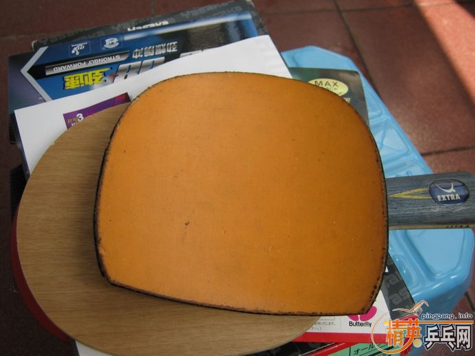 260������հ�YE�������׽���������Żݶࣩ