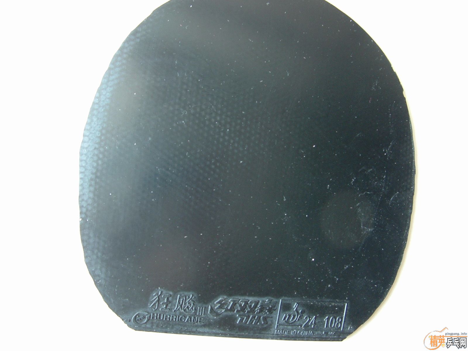 ����ʡ������NEO����׽�