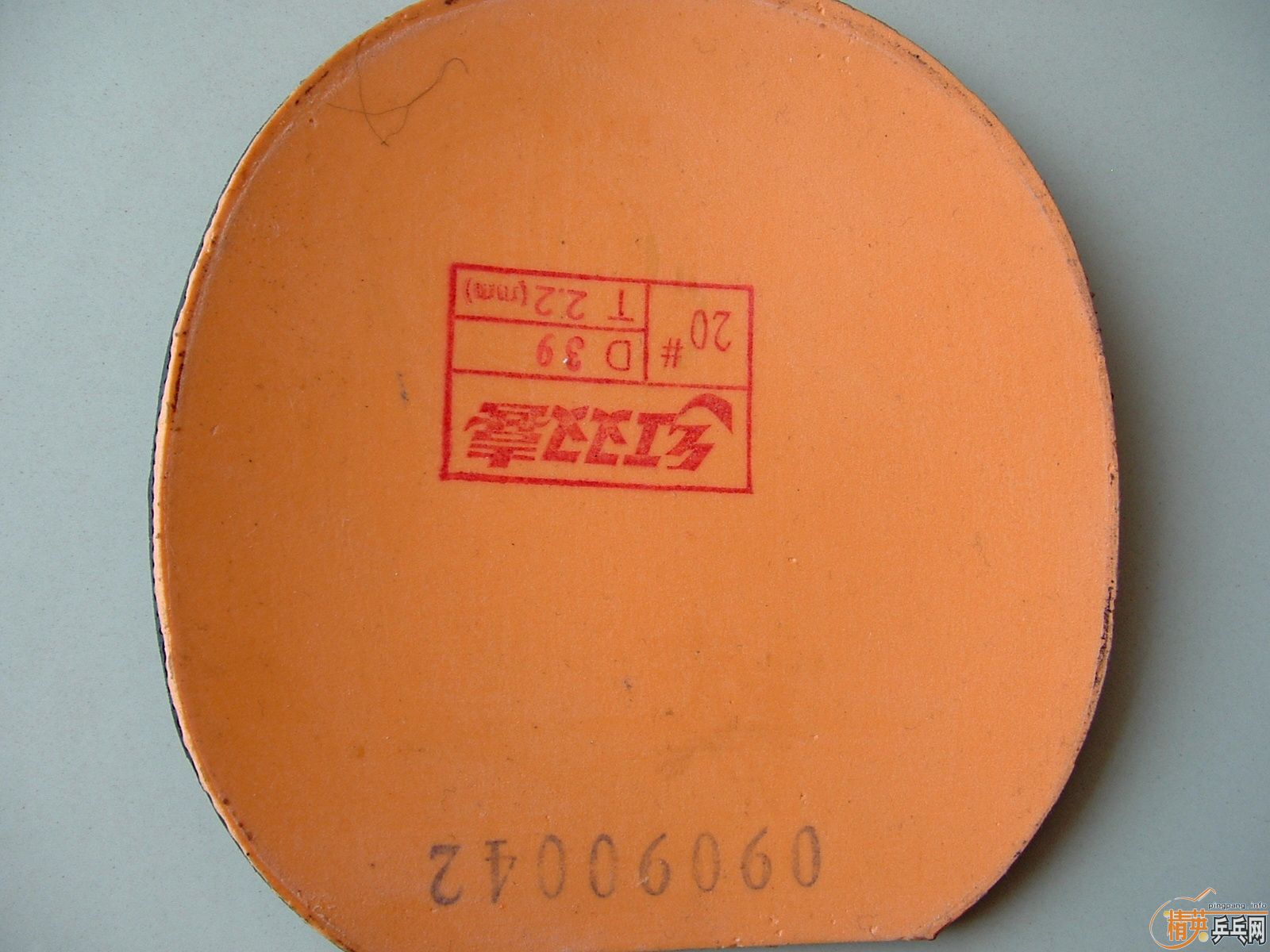 ����ʡ������NEO����׽�