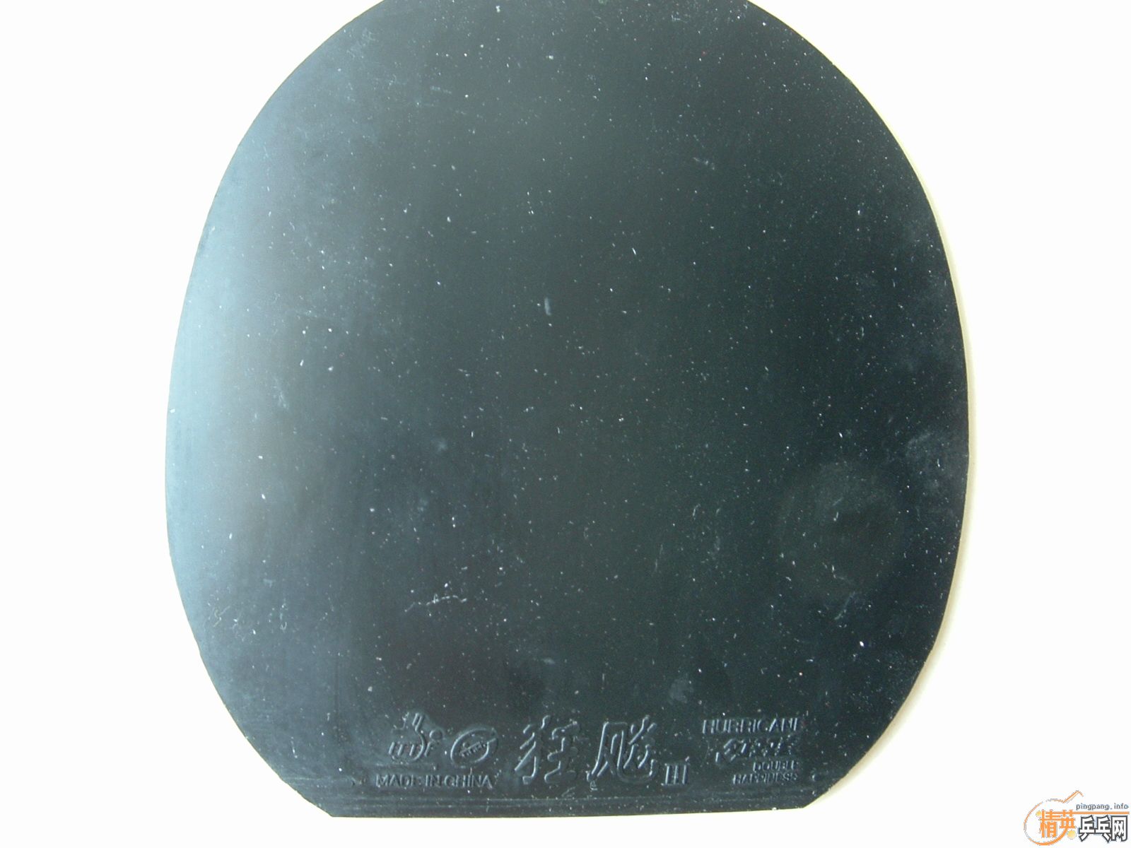 ����ʡ������NEO����׽�