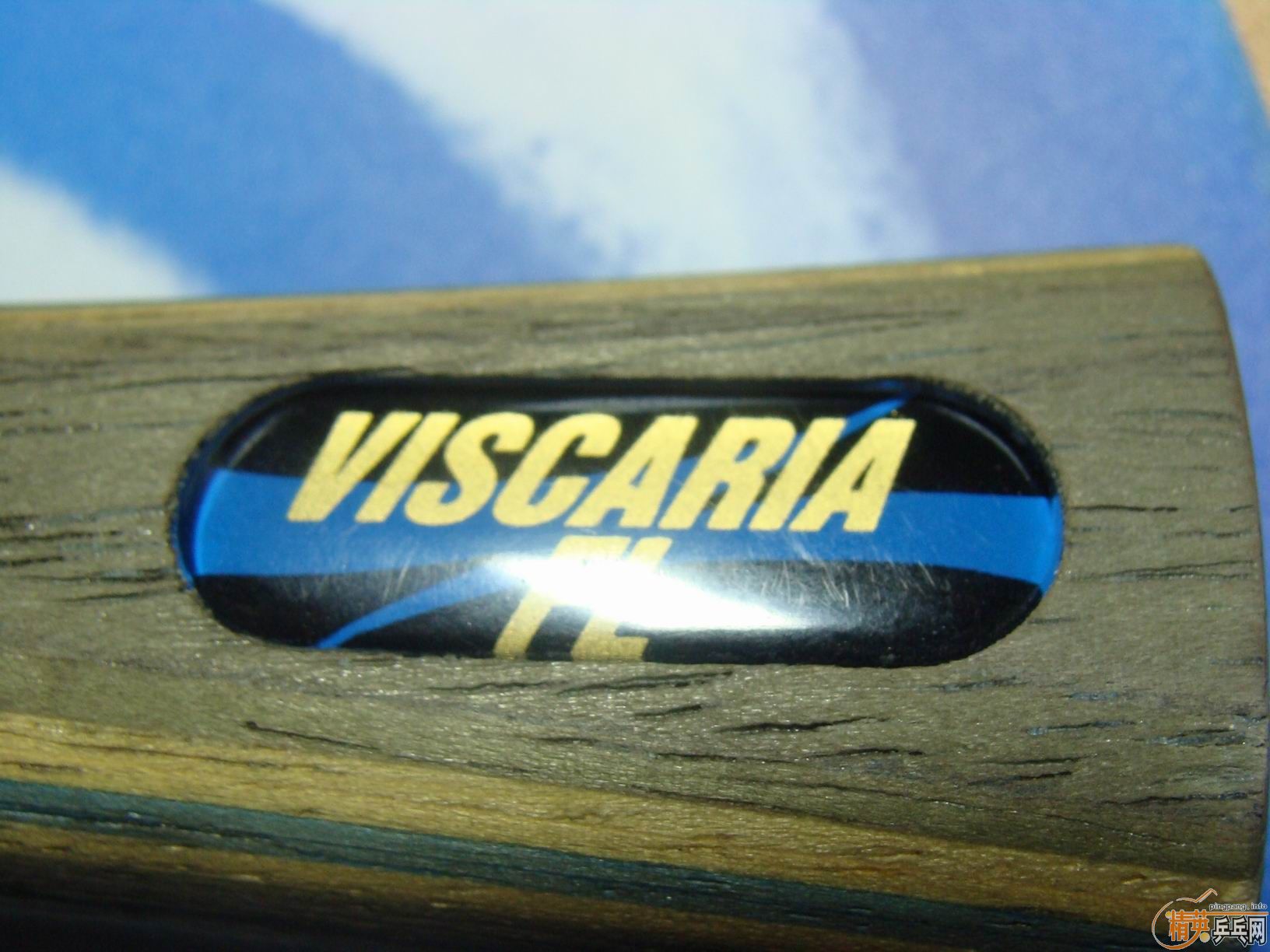 ���ղص�������VIS������޻���������F1���л���������֧��֧������