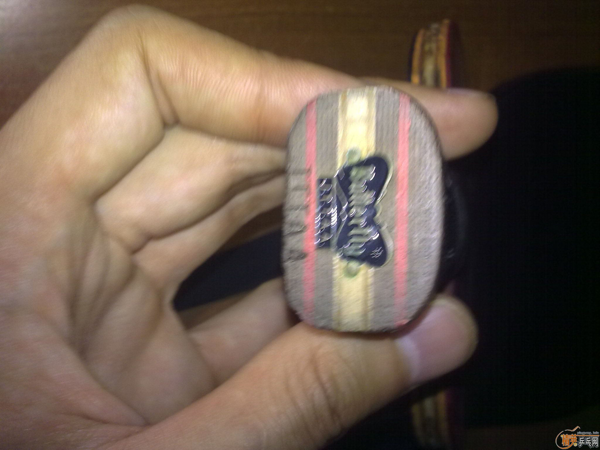 [ԭ��]�ų��µĺ�������ľ����