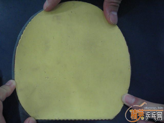 ��ɫ�ܺõ�ͦ��sinus ����JO