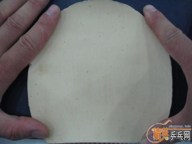 ͦ��sinus(һ��)  ����JO  F1 F2