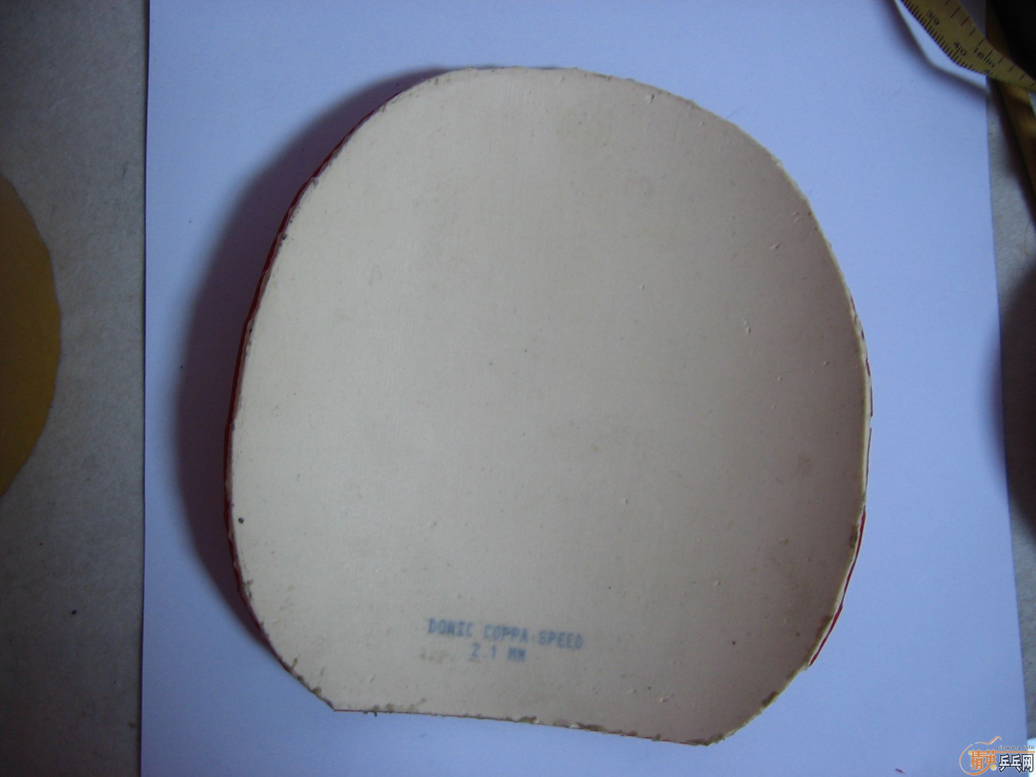 COPPA SPEED    ��  ����JO