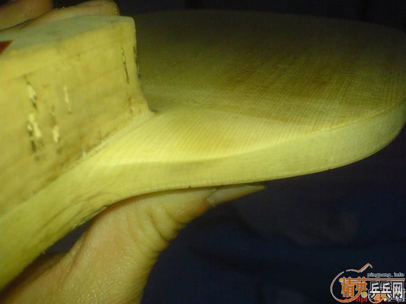 �ݲ�����