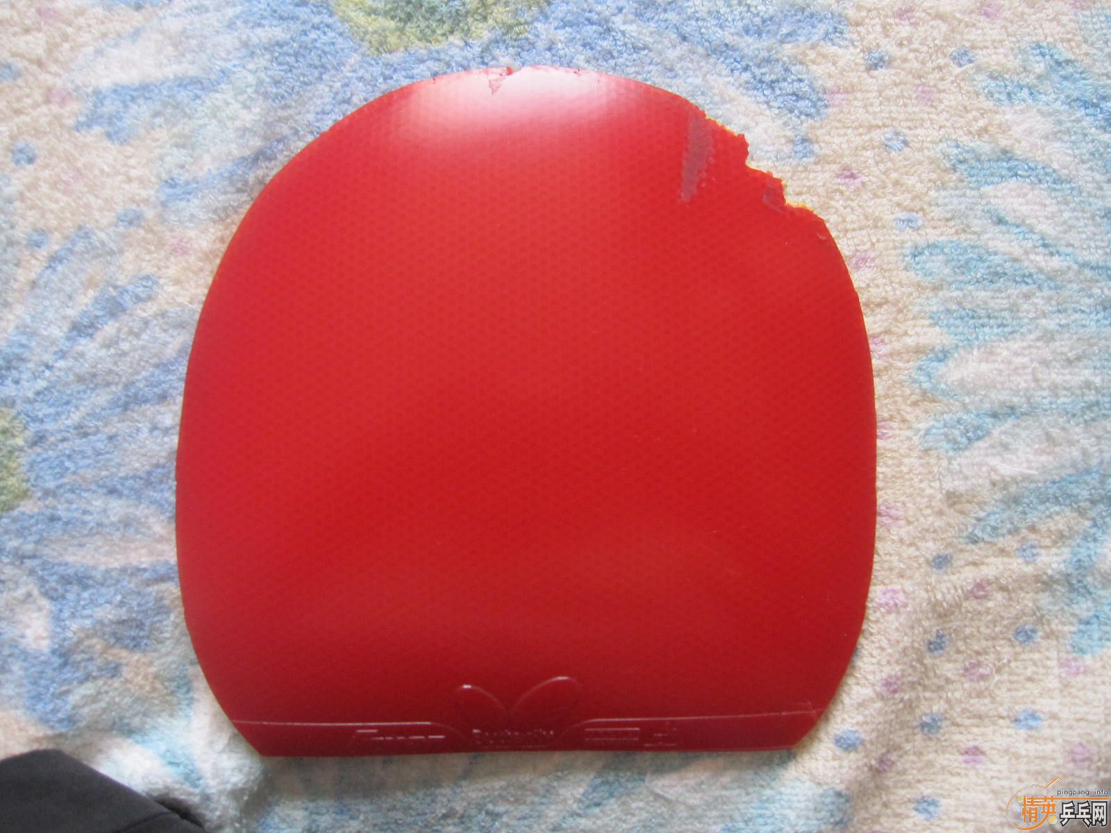 ֧����������۳������׽�ֱ�ᣨ��ͣ���쭵ȡ�������