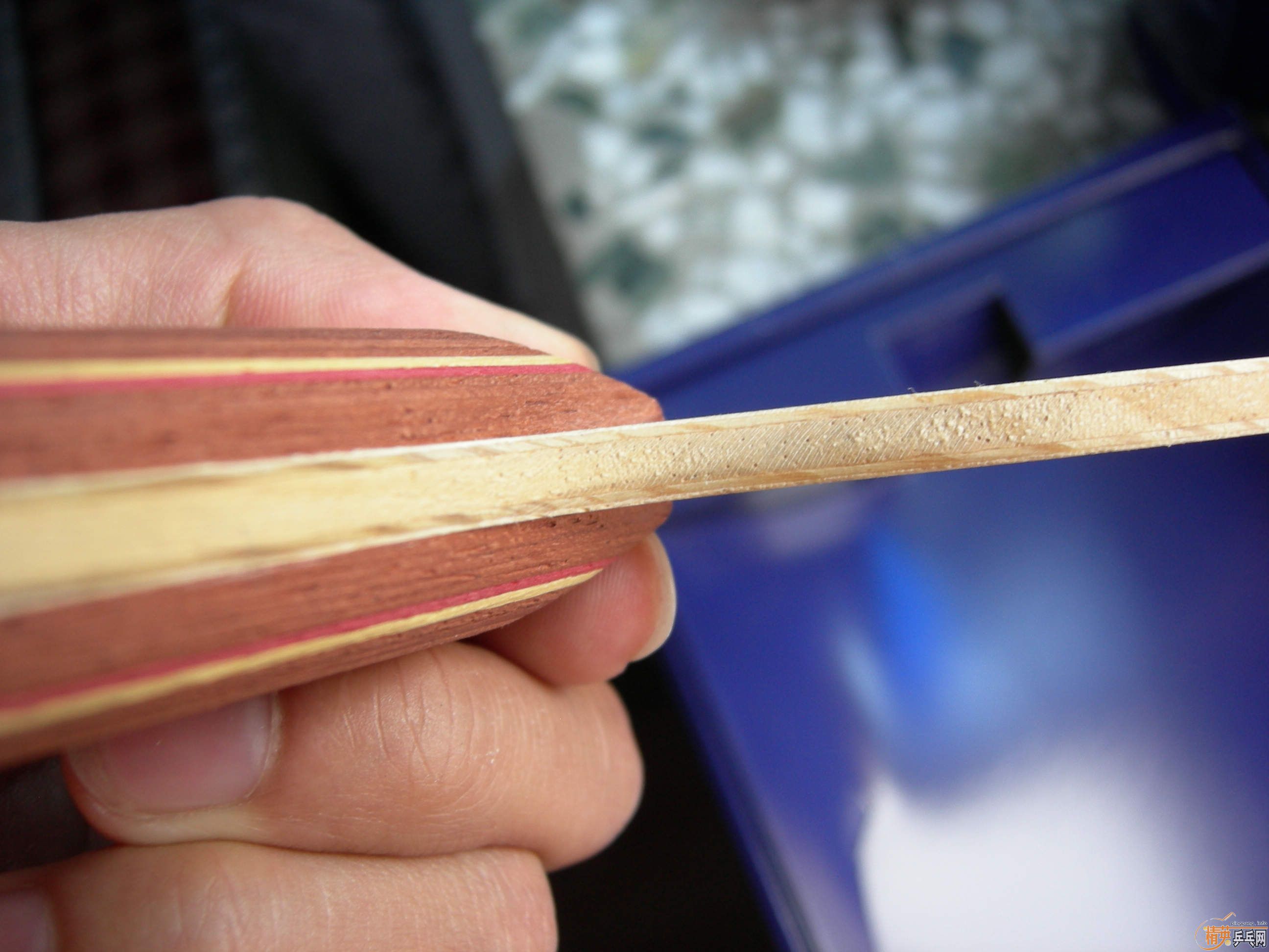 ���������R5������