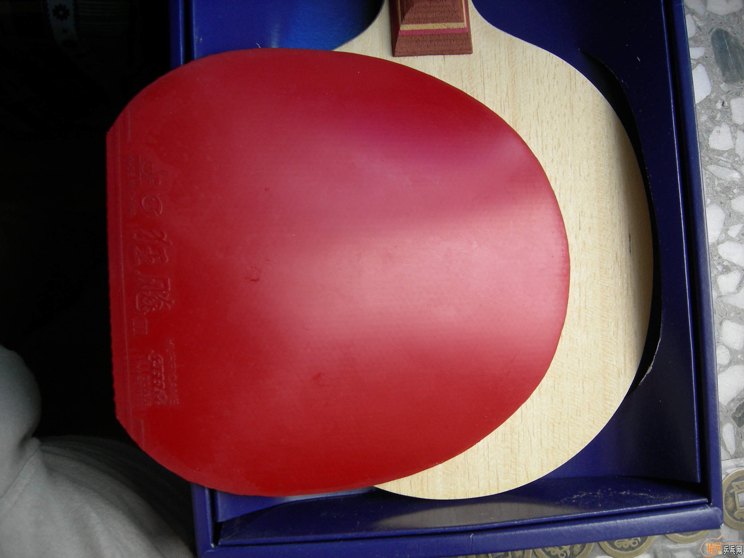 ���������R5������