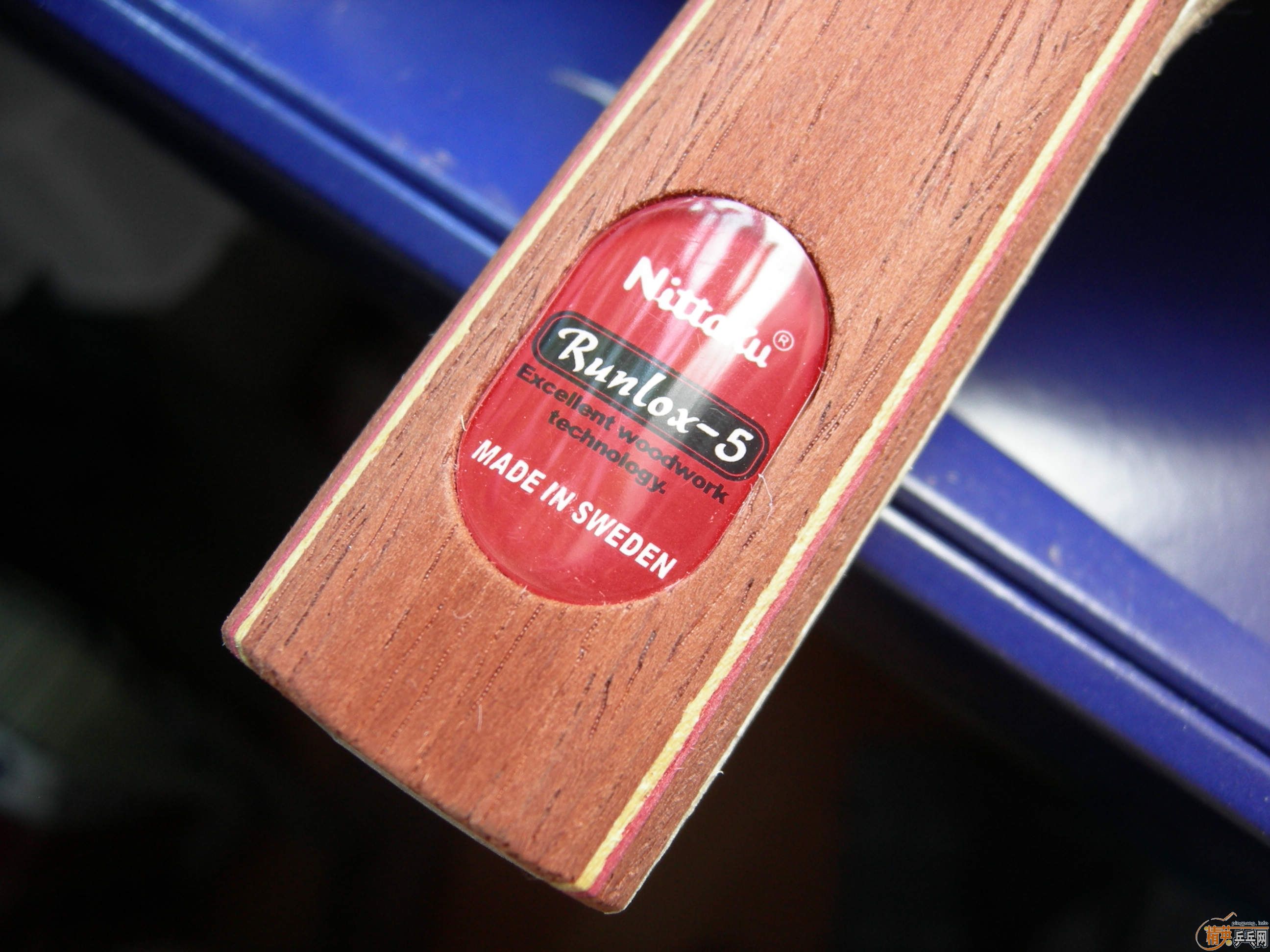 ���������R5������