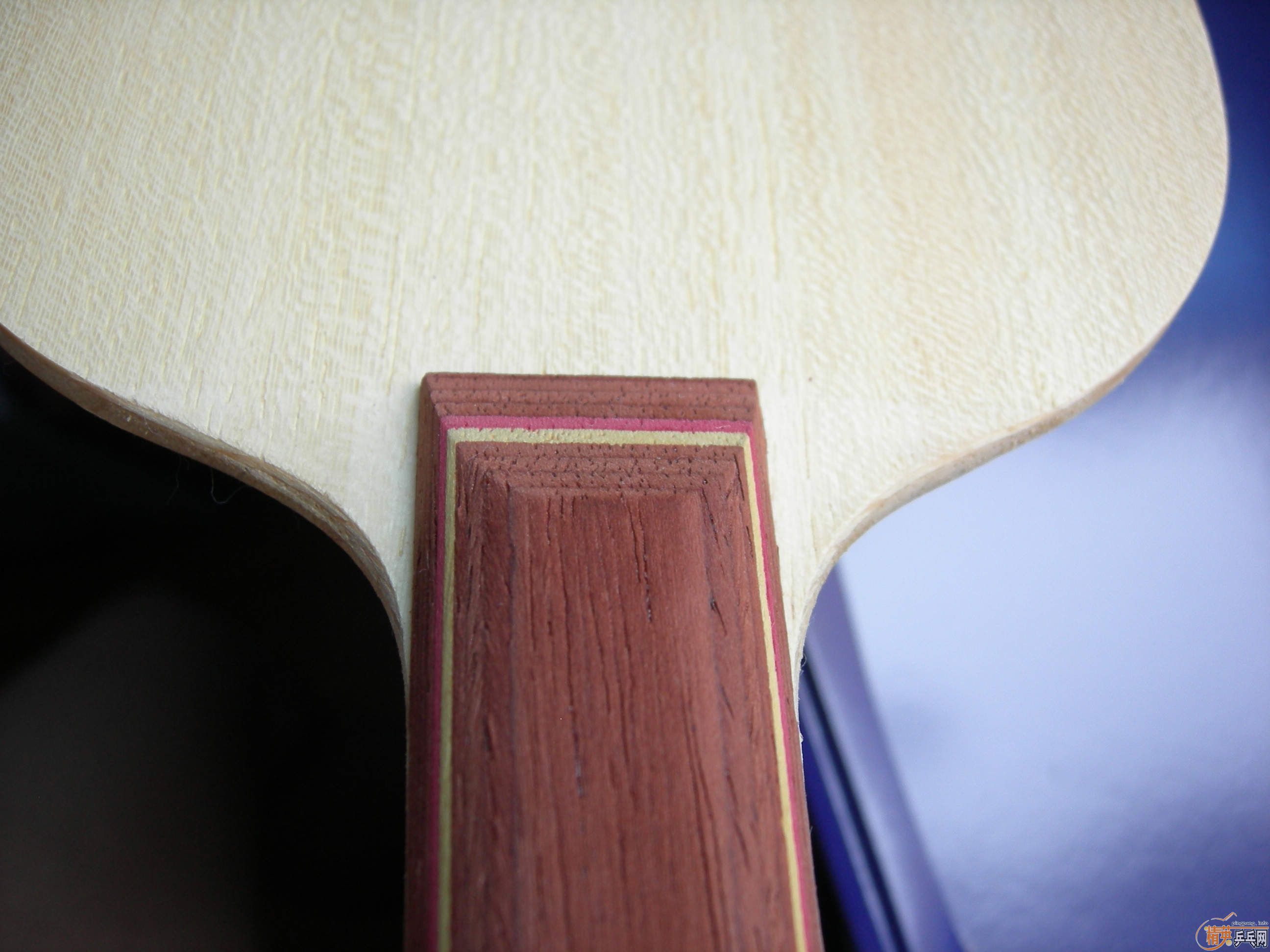 ���������R5������