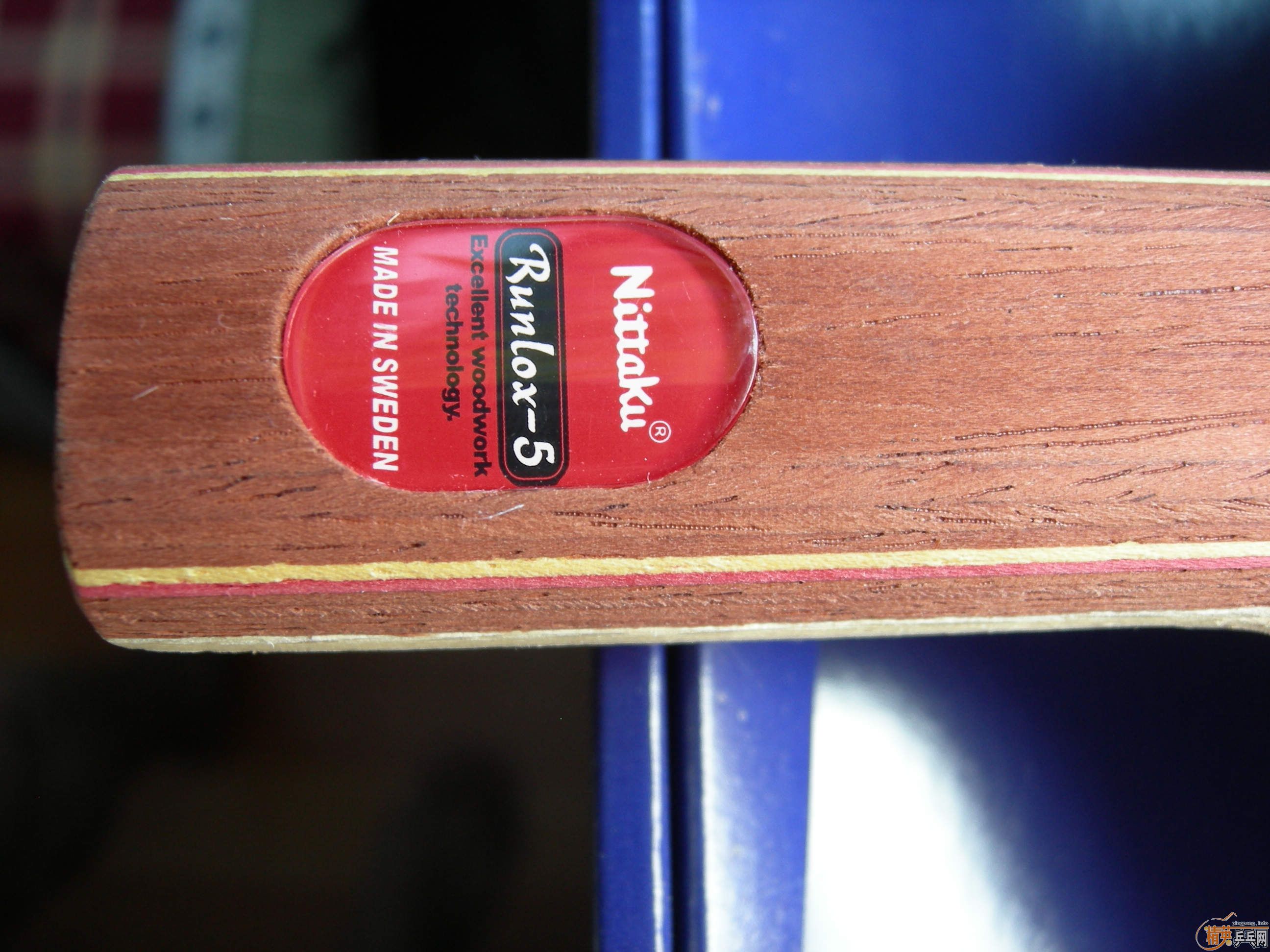 ���������R5������