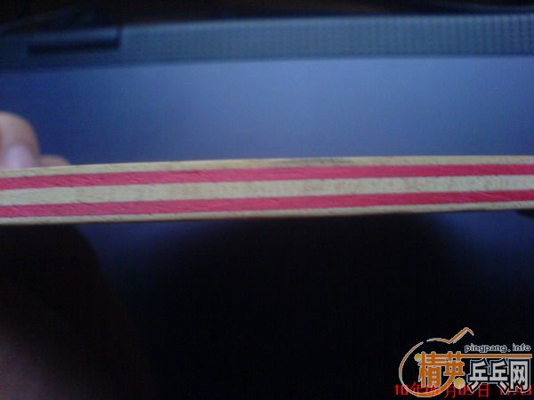 ��ת�á�ʵ�ĺ�� CL   ����/   251Ԫ