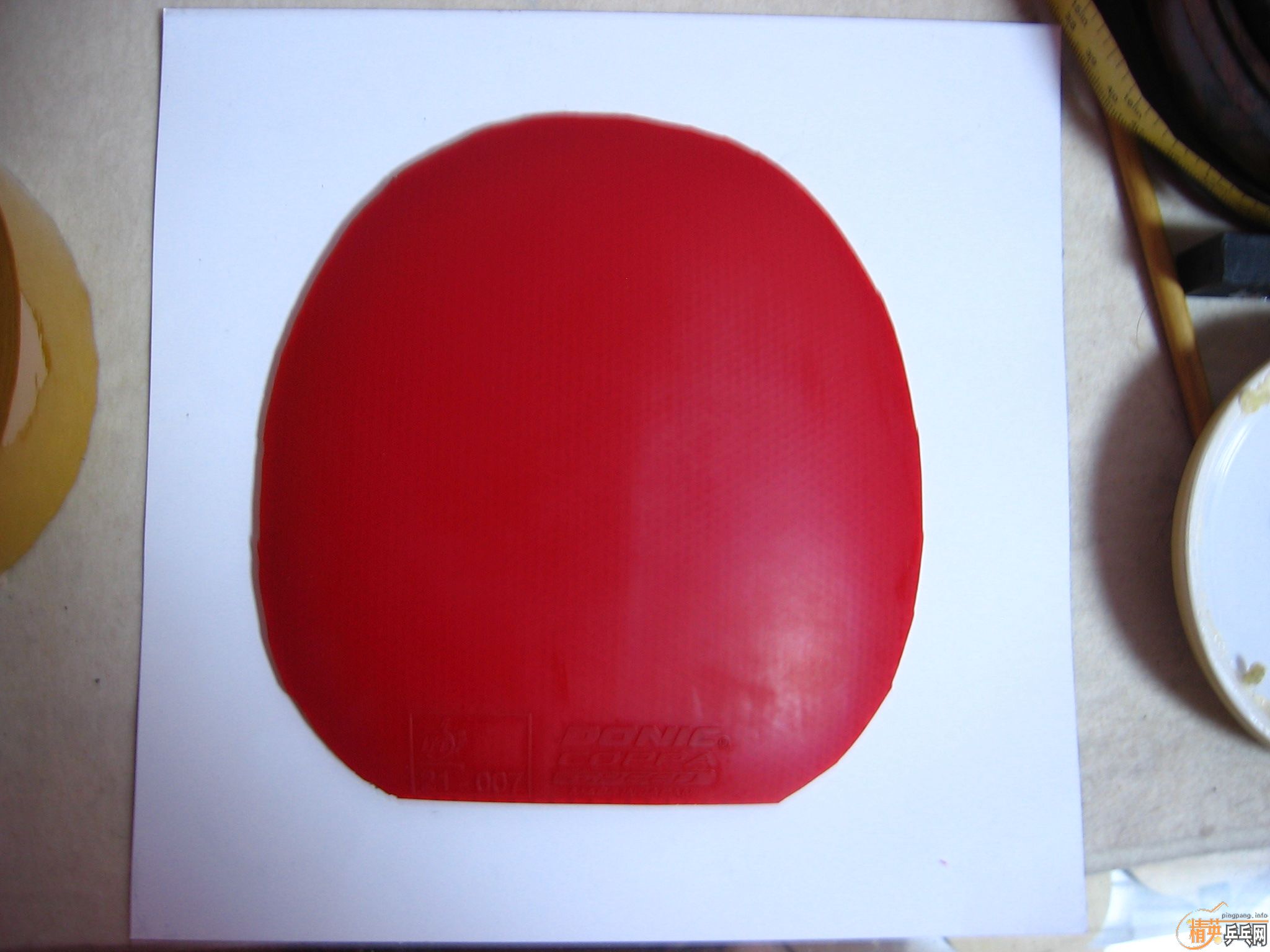 coppa speed ����˶����׽� ֧��������