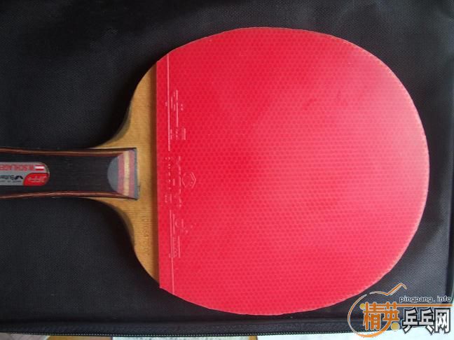 -------110Ԫ���ʳ���ɫֱ����ŷ�׸�2----