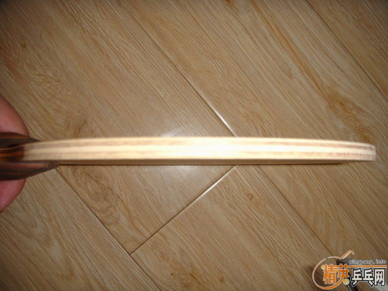 ��֧������FL����