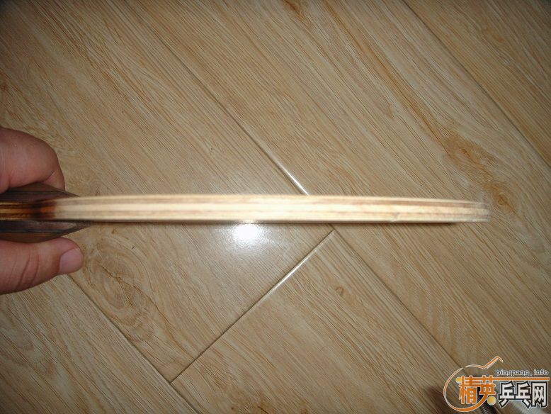 ��֧������FL����