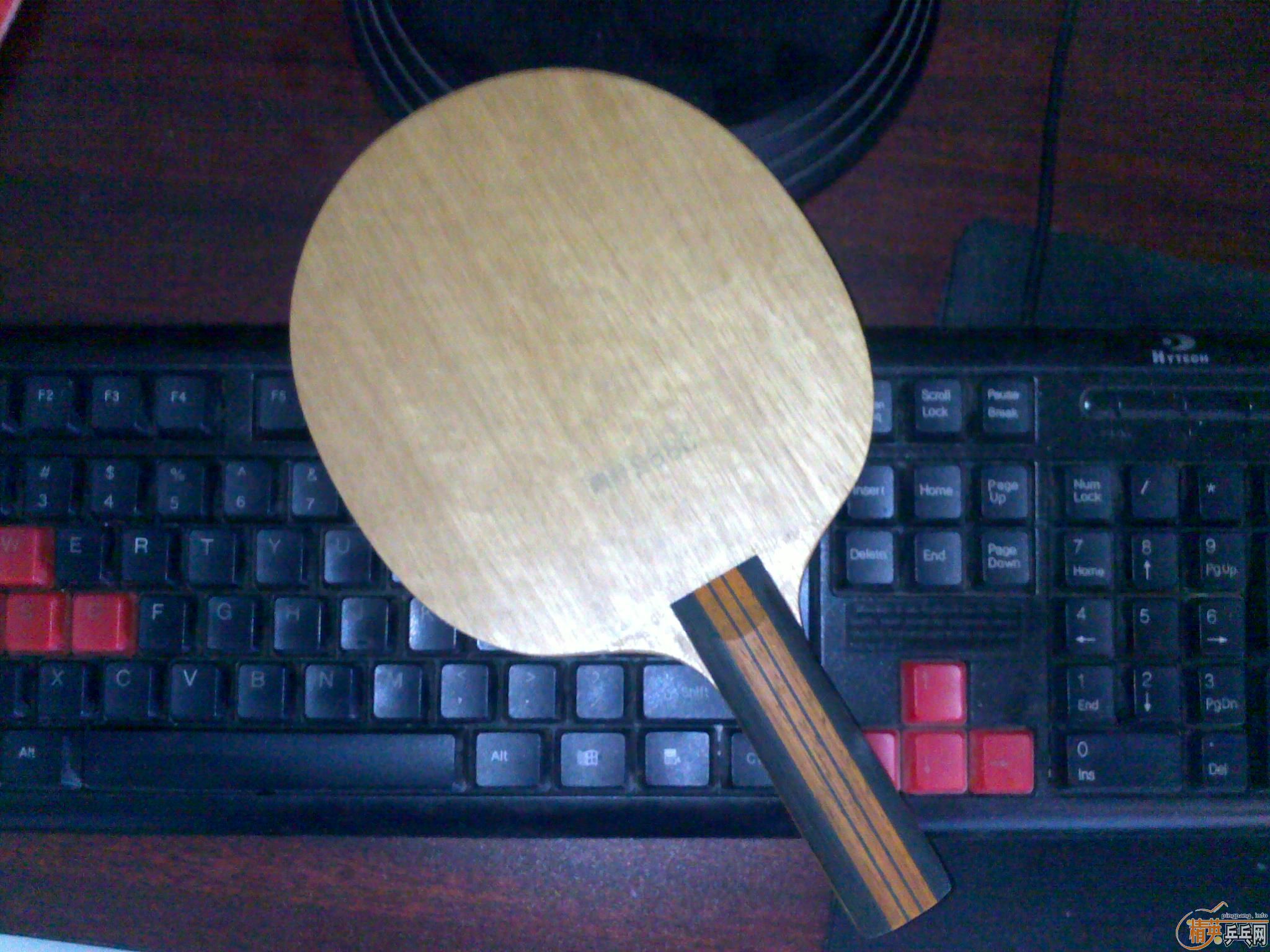 ������������ľ����st����