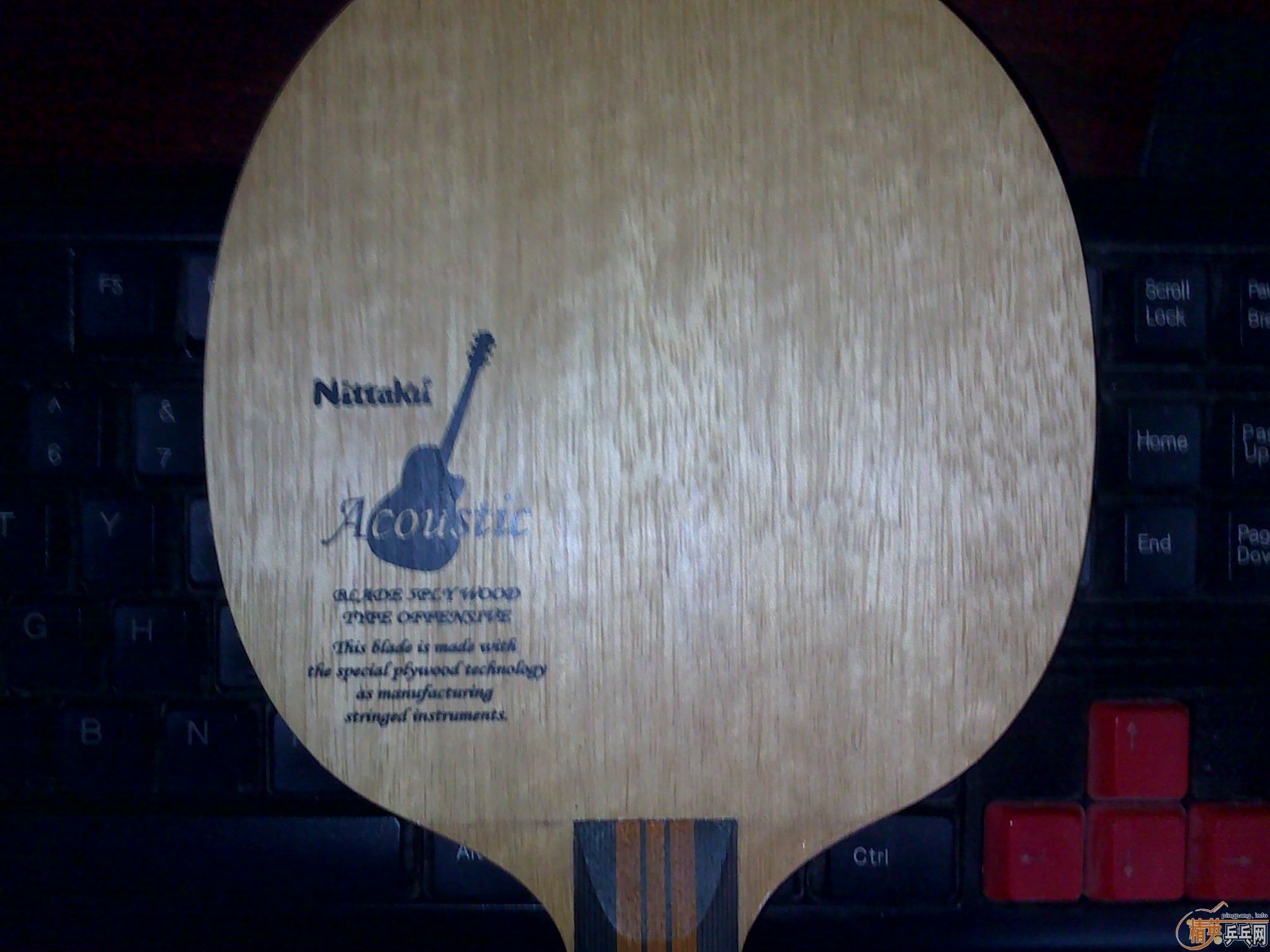 ������������ľ����st����