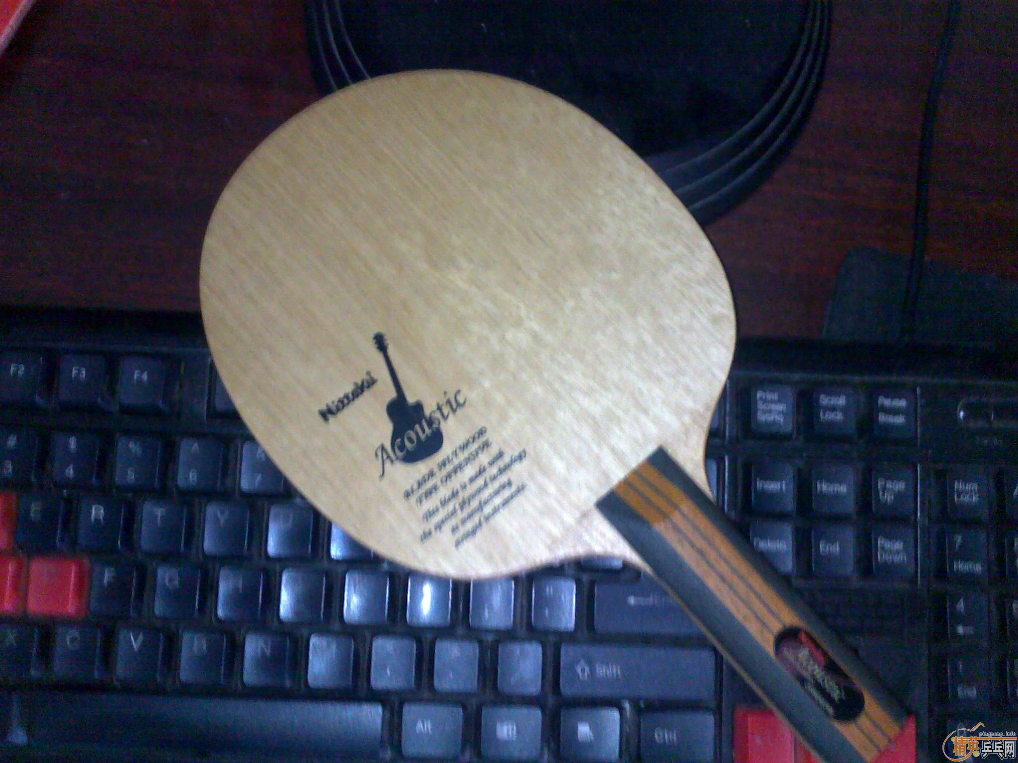 ������������ľ����st����