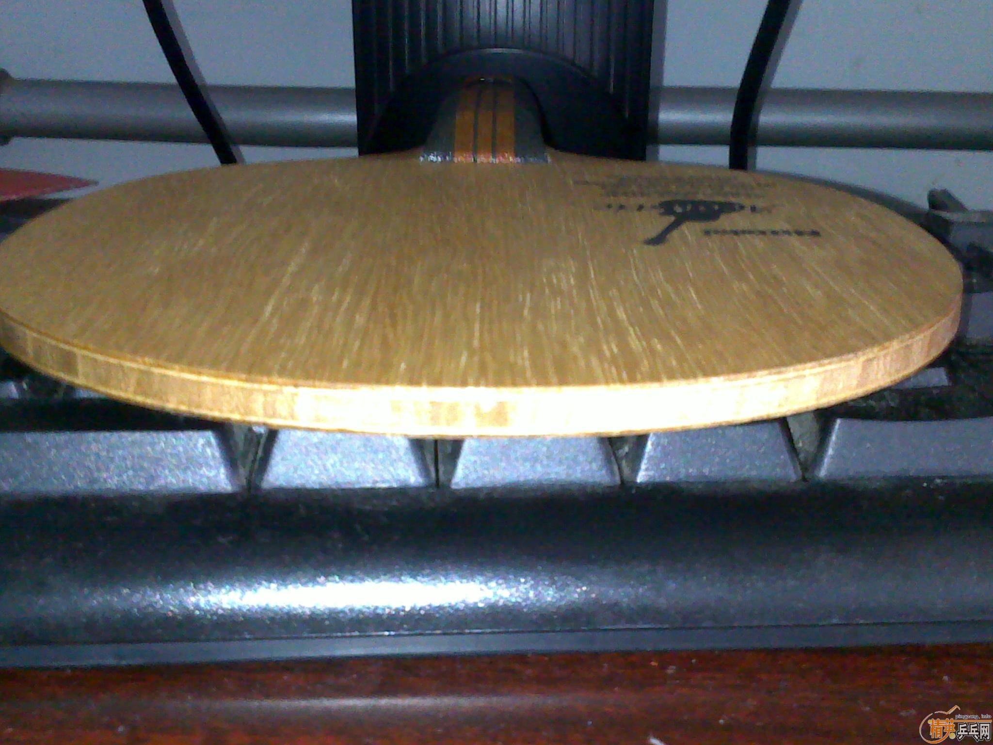 ������������ľ����st����