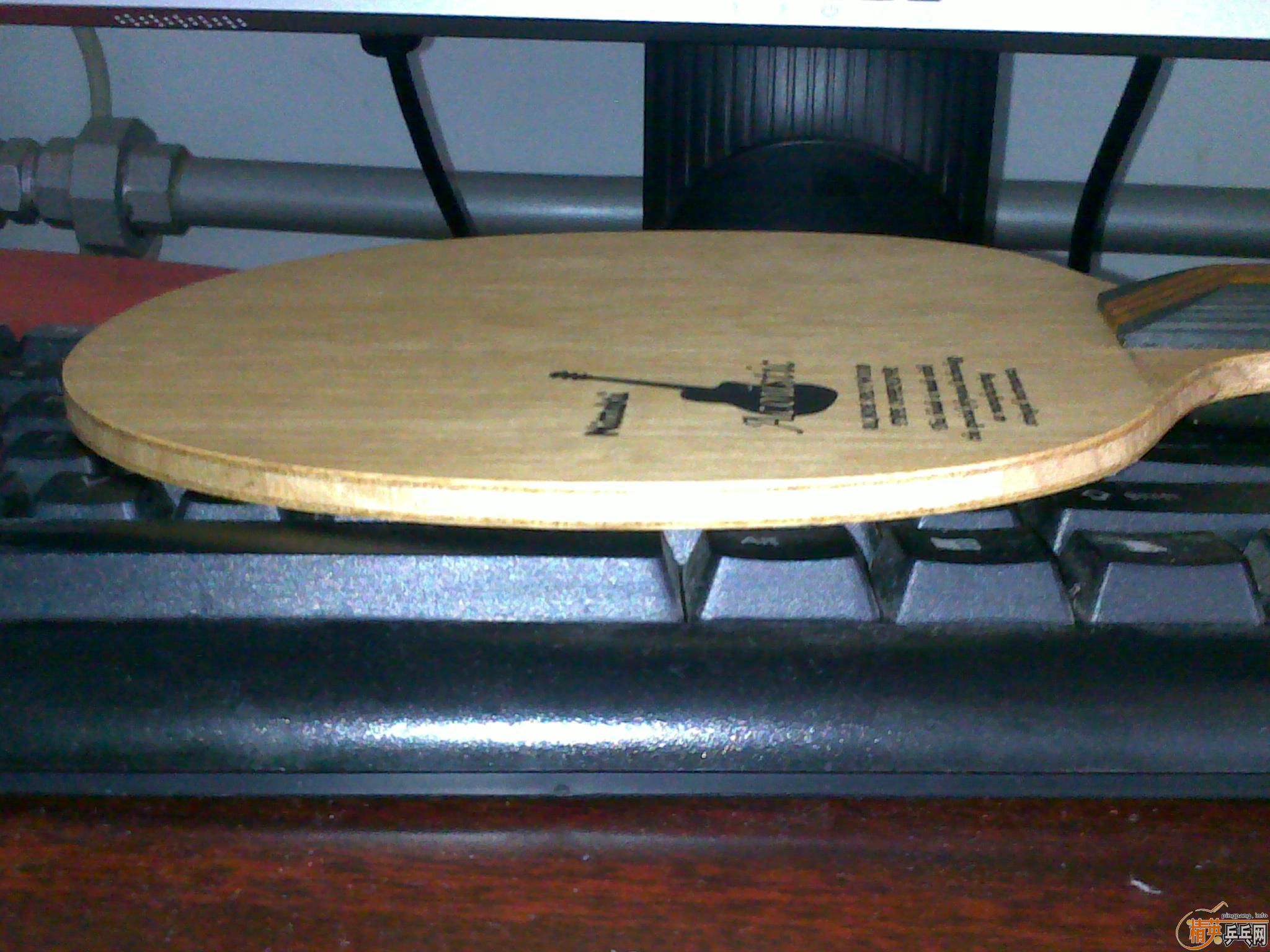 ������������ľ����st����