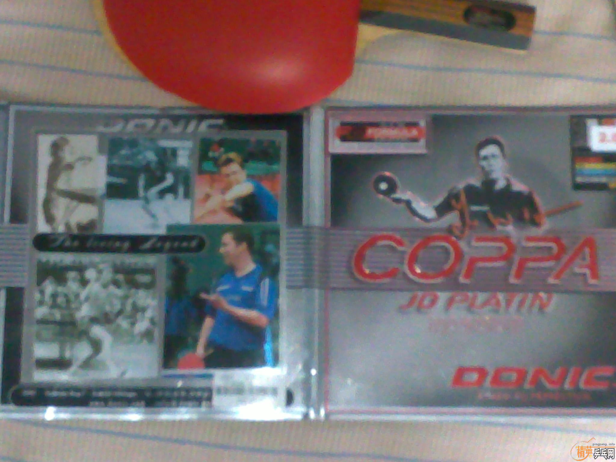 ������������ľ����st����