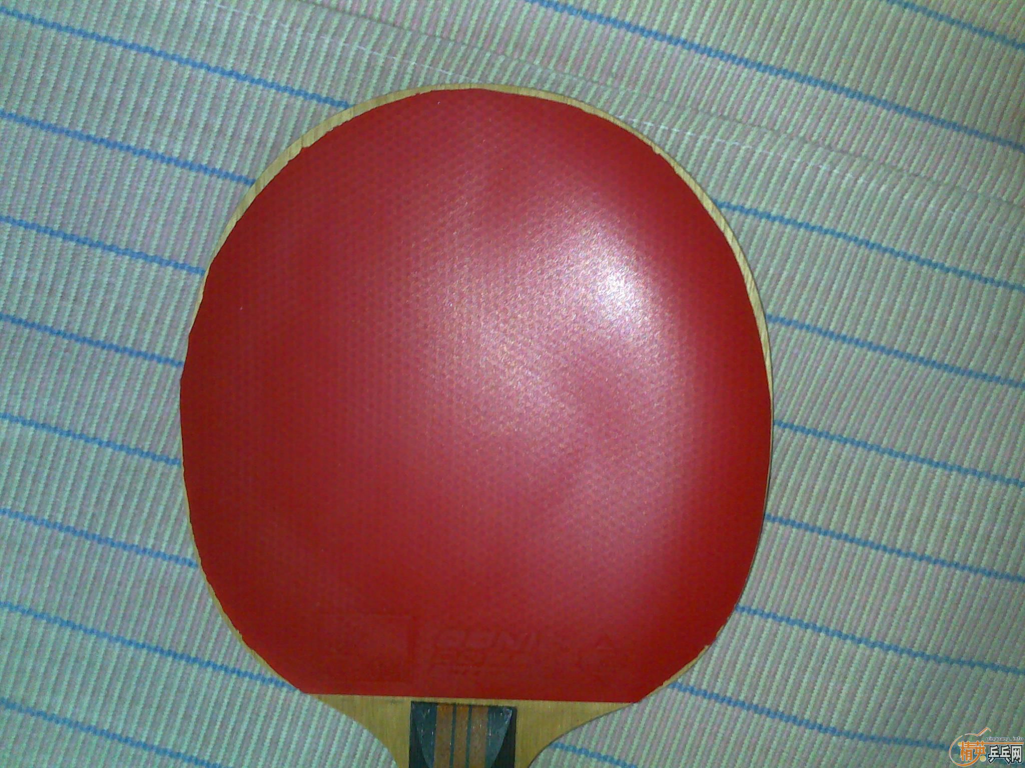 ������������ľ����st����