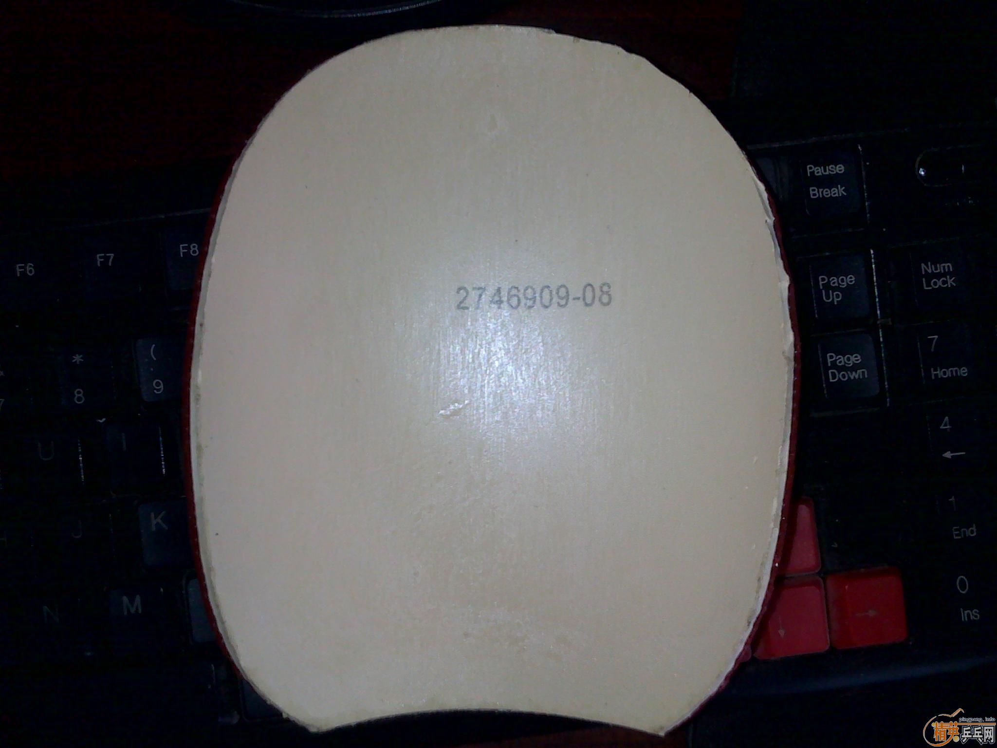 ������������ľ����st����