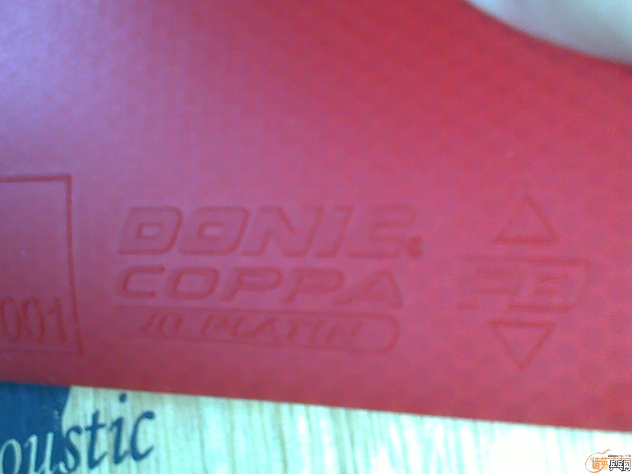 ������������ľ����st����