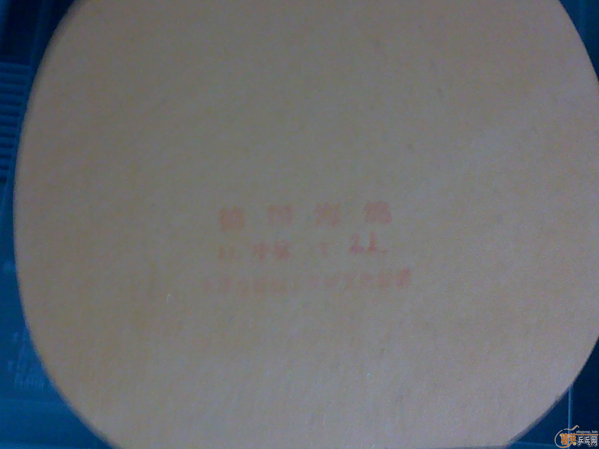 �����˵ġ�ST��������ľ����st����Ŷ���������