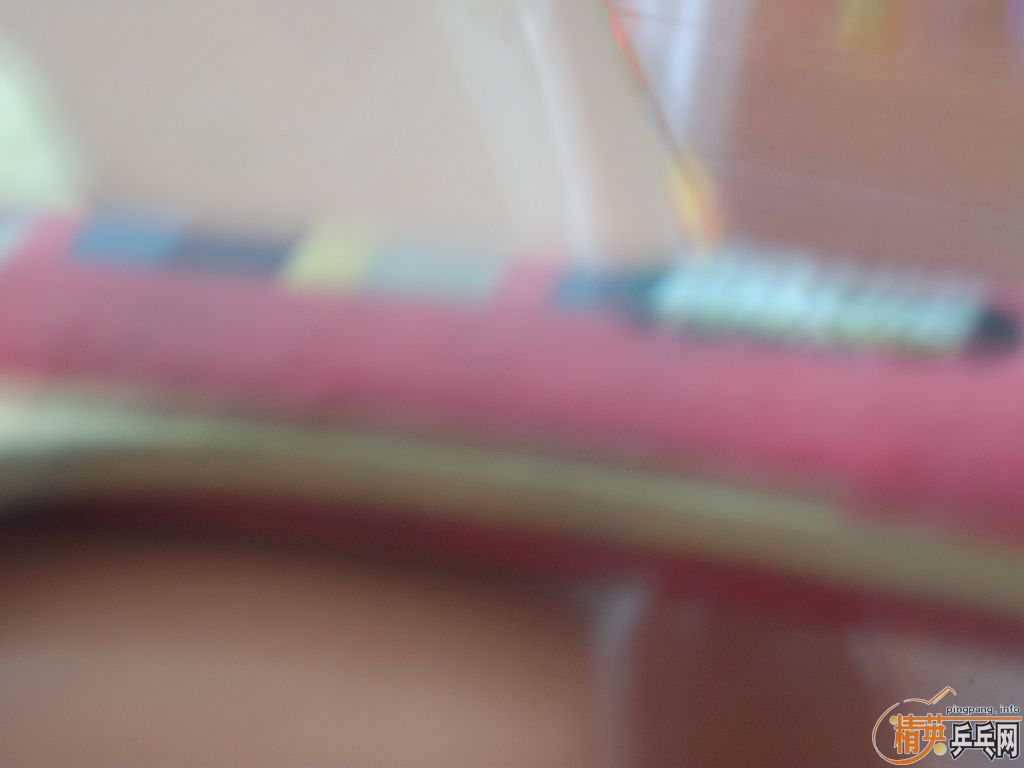 ���˳�����Ķ������ľFL(֧��֧������