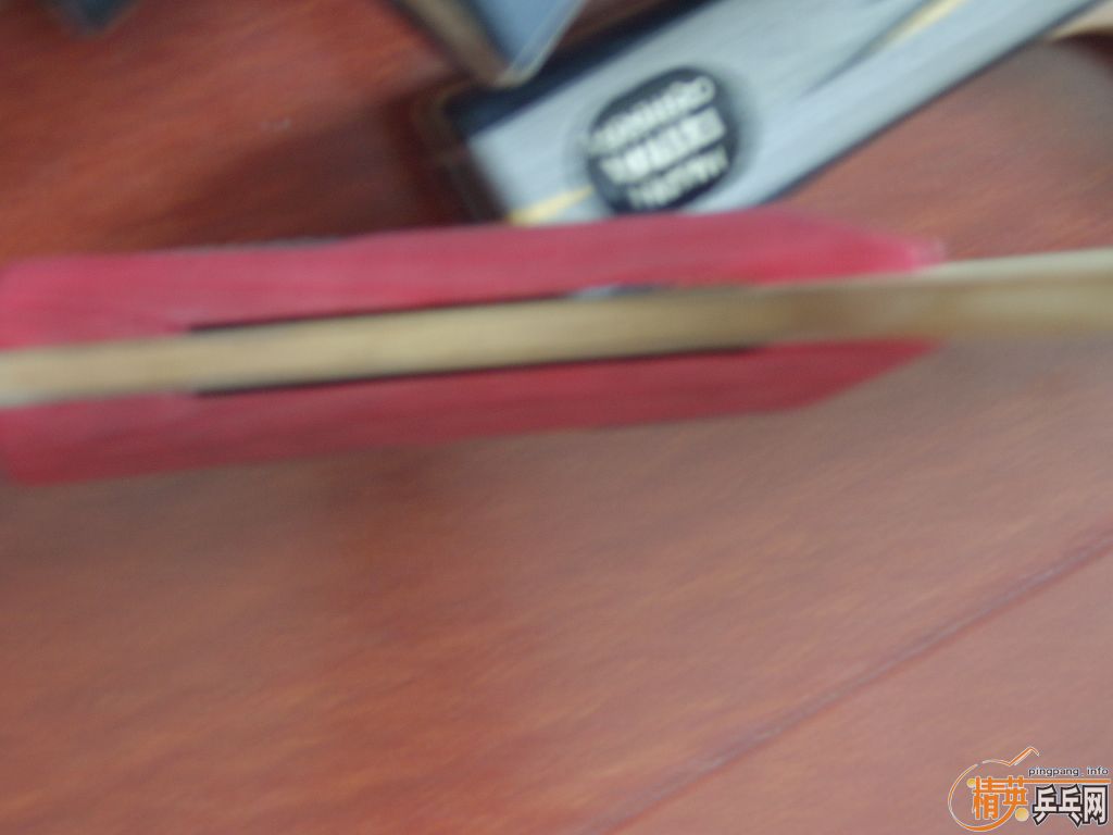 ���˳�����Ķ������ľFL(֧��֧������