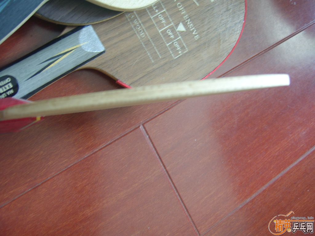 ���˳�����Ķ������ľFL(֧��֧������