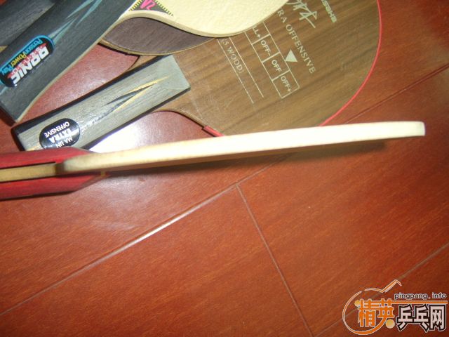 ���˳�����Ķ������ľFL(֧��֧������