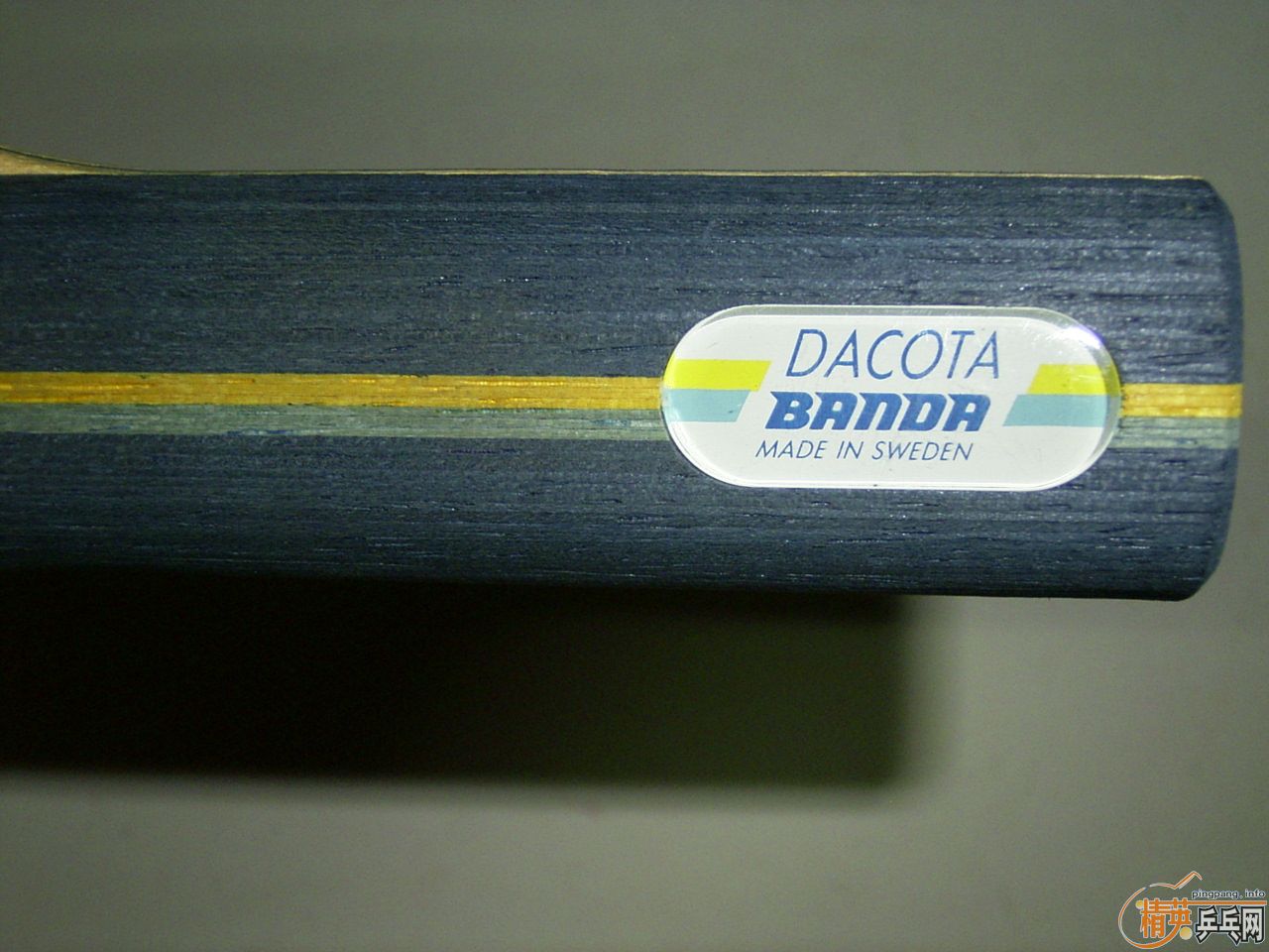 ^ʮ BANDA Dacota (ˮ) st 500Ԫ