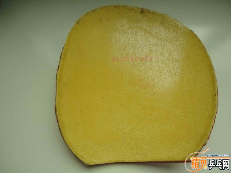 sinus ALPHA ��T05�����ʡ���t64\NIMBUSϵ��