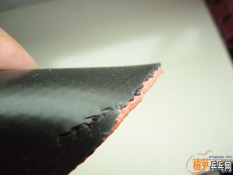 sinus ALPHA ��T05�����ʡ���t64\NIMBUSϵ��