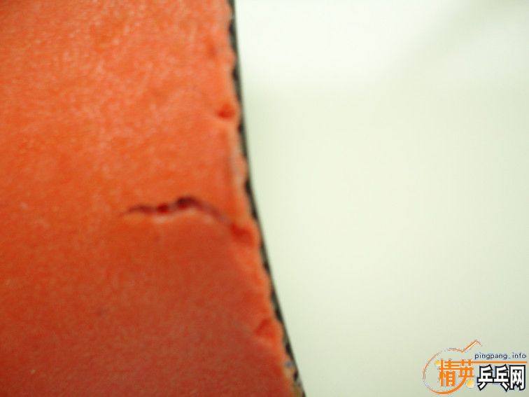 sinus ALPHA ��T05�����ʡ���t64\NIMBUSϵ��