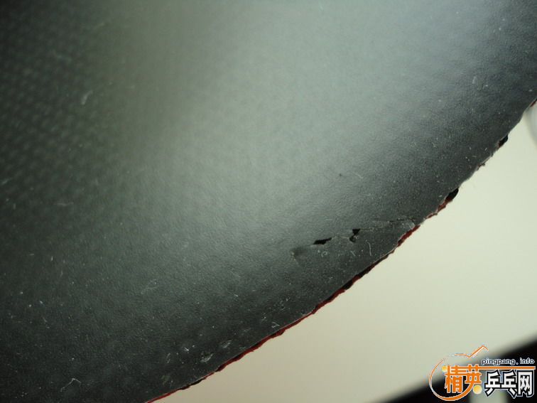 sinus ALPHA ��T05�����ʡ���t64\NIMBUSϵ��