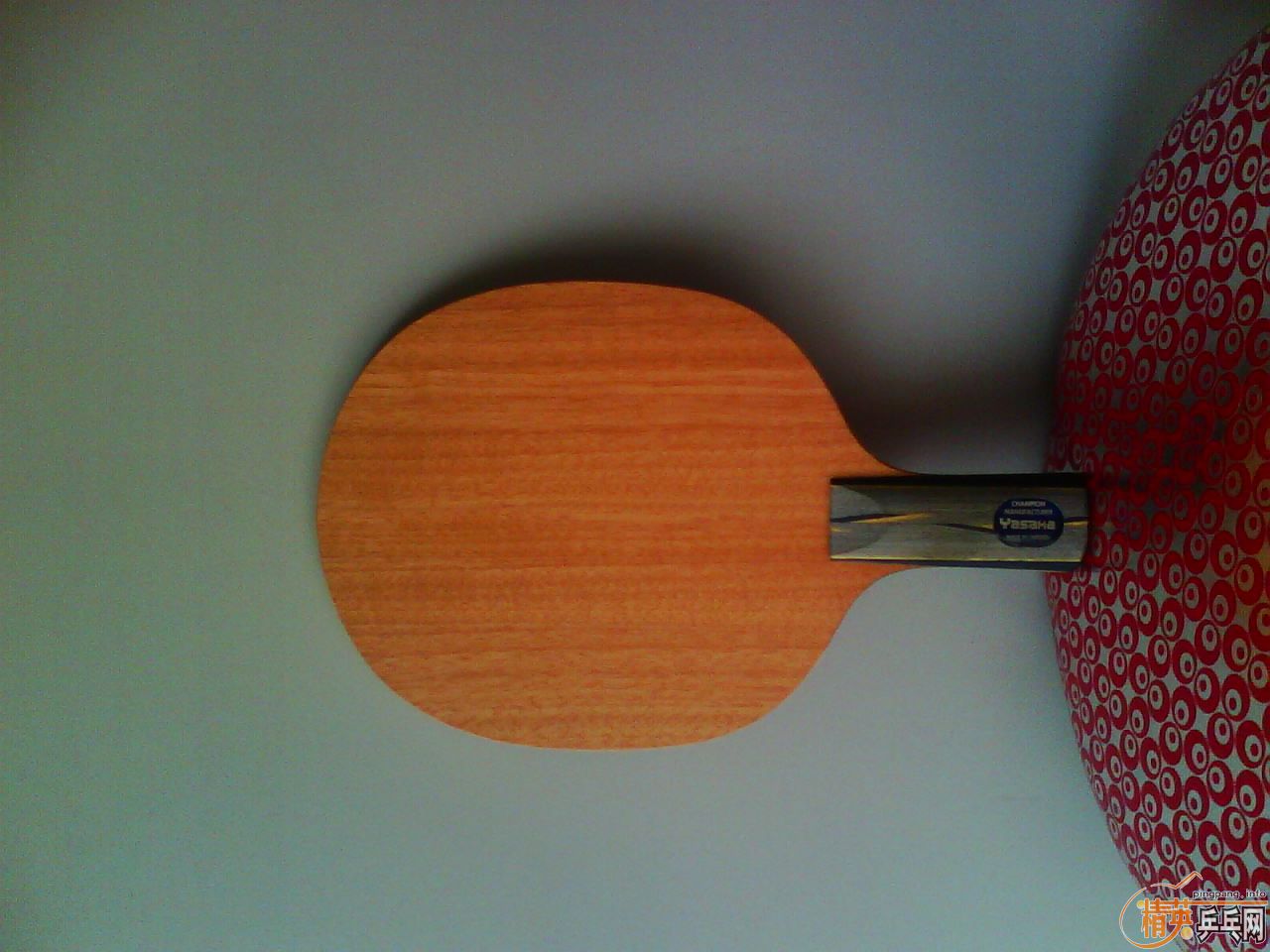 ���ѳ�һֻ���൱�����ġ����հ�������̼