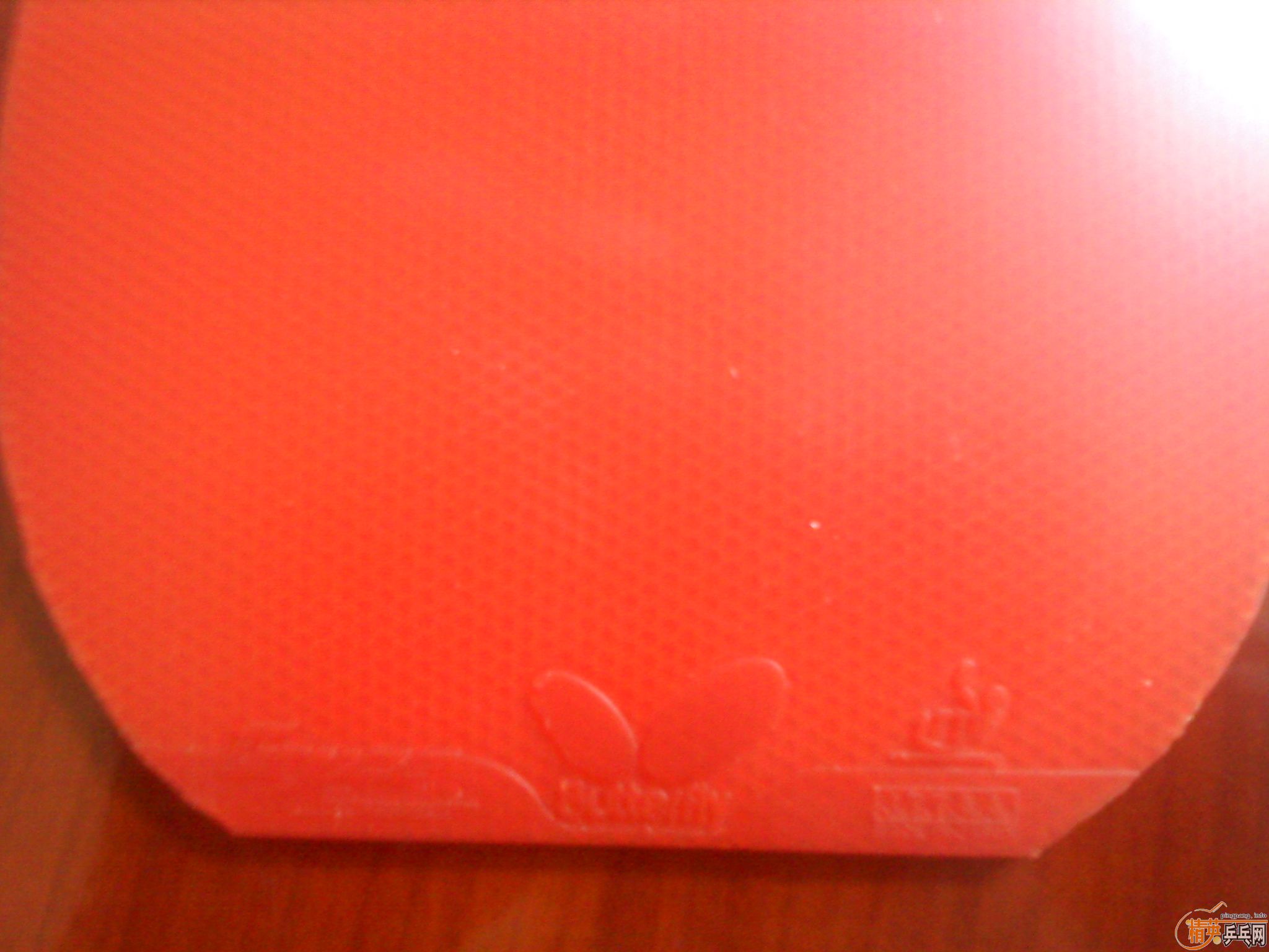 ��9.5�º������SPEED������