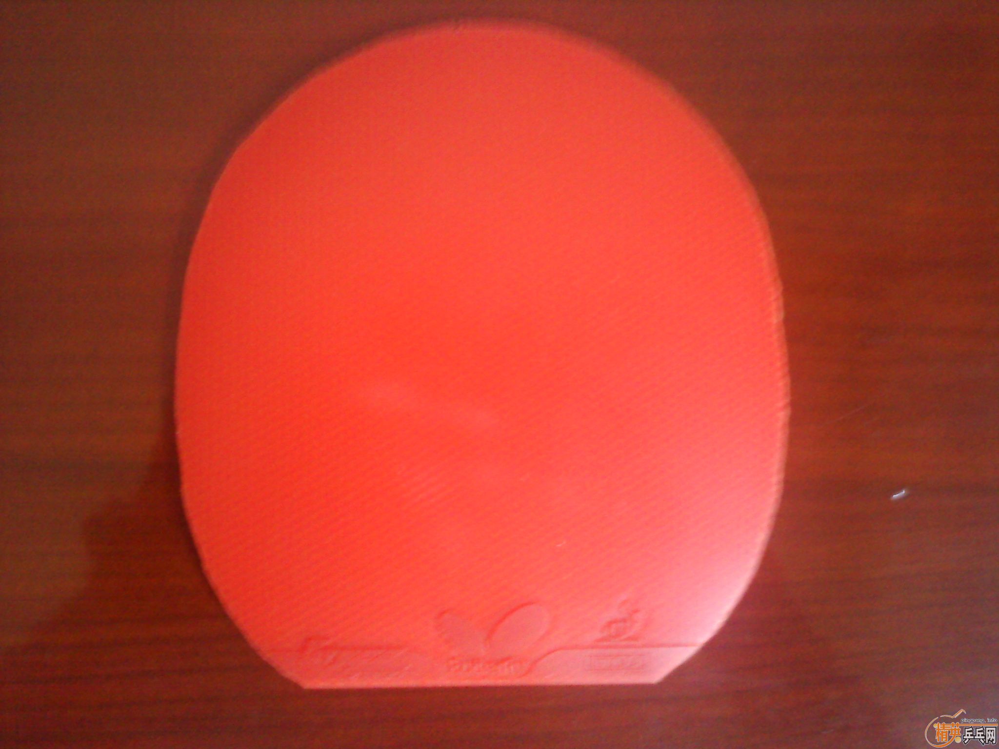 ��9.5�º������SPEED������