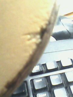 [�Ƽ�]��2����������̼