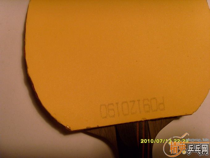 sinus ALPHA ��T05�����ʡ���t64\NIMBUSϵ��