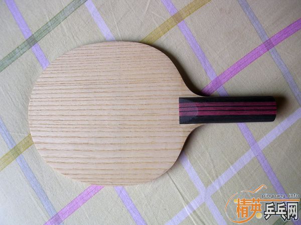 �������ľ��ŷ���չ� ������ ����С���ٺͿ���